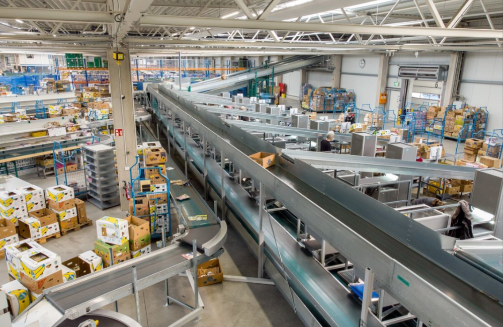 Screenshot 2026-01-26 022410